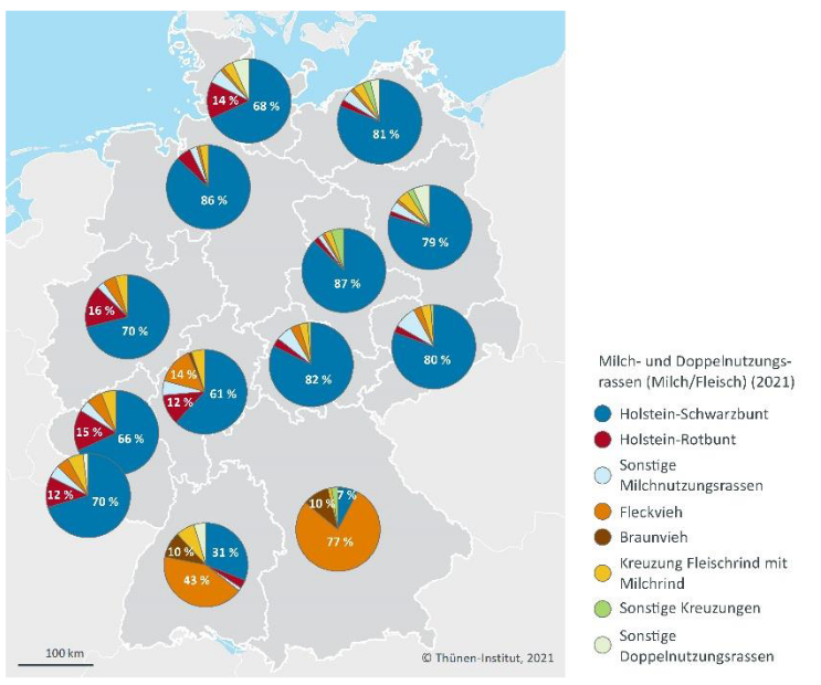 Verteilung Rinderrassen in den deutschen Bundesländern