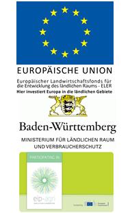 Im Förderbanner untereinander dargestellt: Flagge der Europäischen Union, darunter Text 