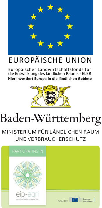 Im Förderbanner untereinander dargestellt: Flagge der Europäischen Union, darunter Text 