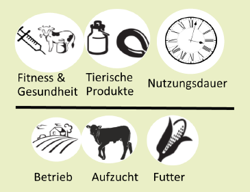 Die Bestandteile welche in die Definition der Lebenseffizienz eines Rindes einfließen, werden hier aufgezählt und zusätzlich bildlich dargestellt.