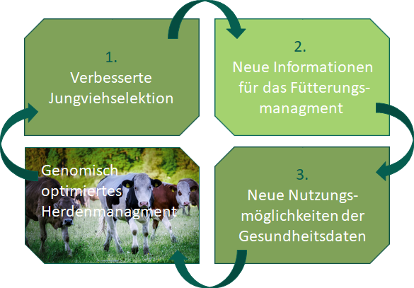 Die Vorteile, welche ein Betrieb an der Projektteilnahme hat, sind hier schematisch in hellgrünen Kästen dargestellt.