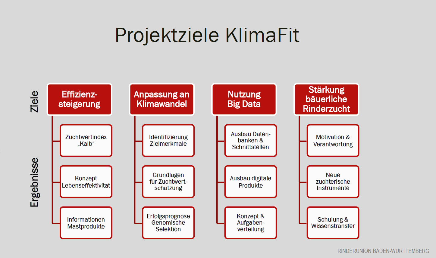Diagramm Projektziele KlimaFit