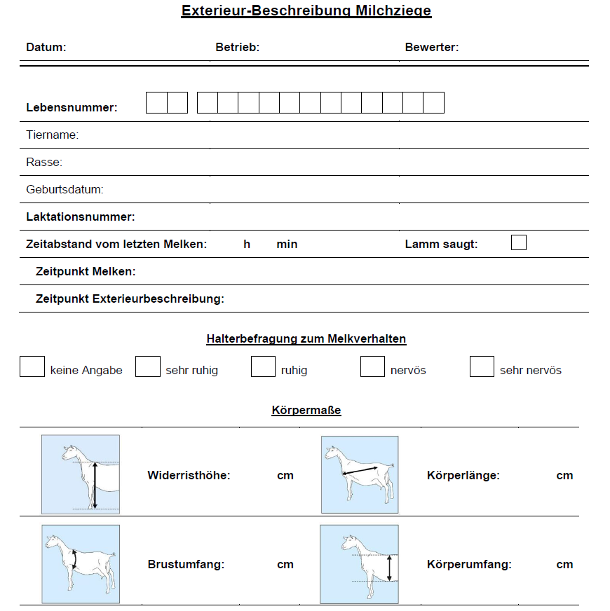 Bild vom linearen Beschreibungsbogen