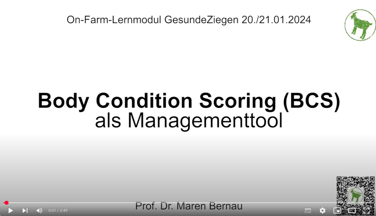 Video zum Body Condition Scoring