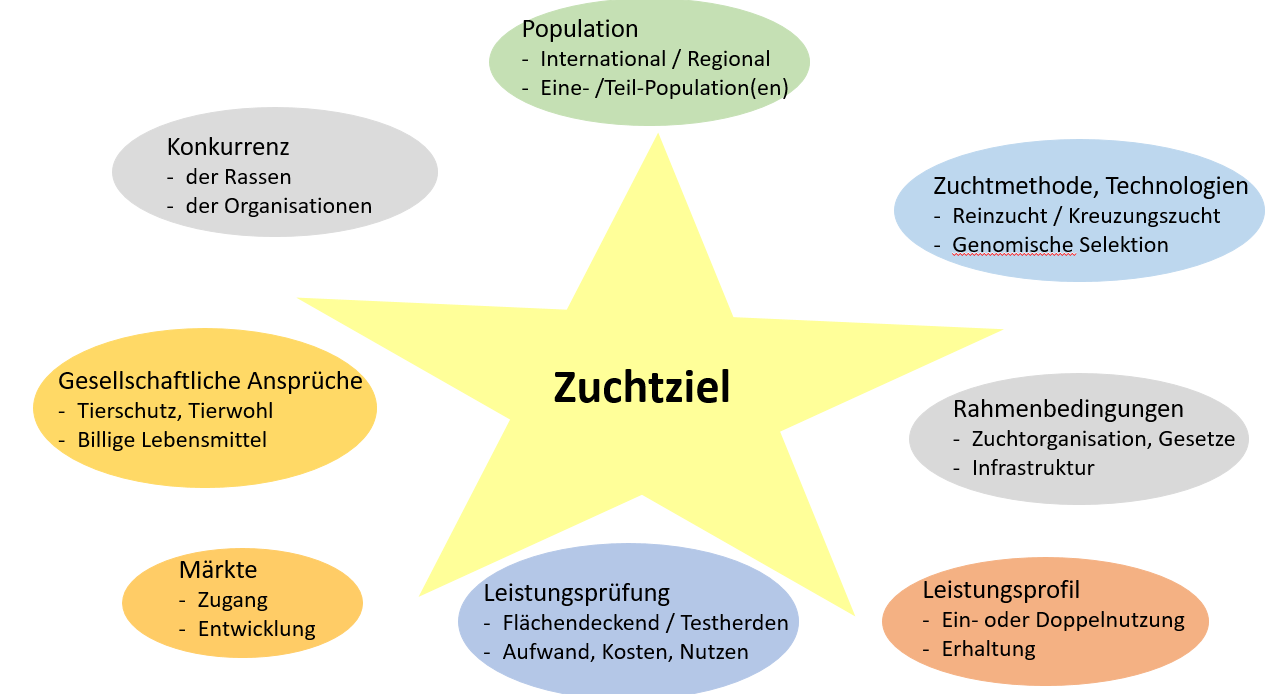 Bildliche Darstellung der verschiedenen Zuchtziele