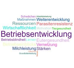 Verschiedene Begriffe aus der Züchterischen Standortbestimmung sind bunt dargestellt