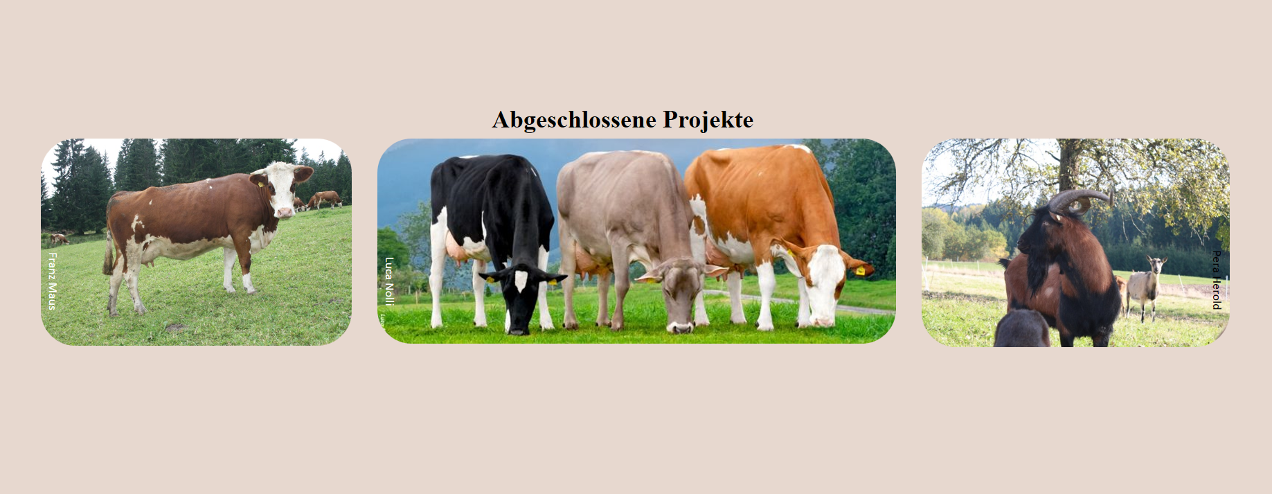 Link zur Seite der abgeschlossenen Projekte