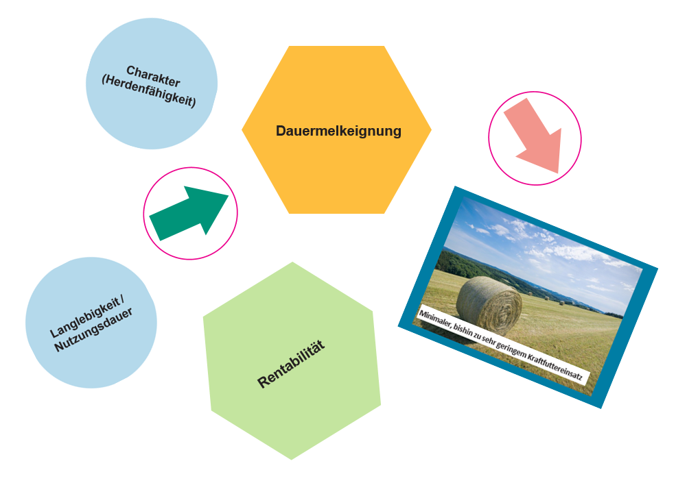 Verschiedene Kartenelemente Züchterischen Standortbestimmung sind zu sehen