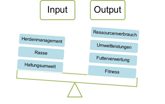 Schema von Input (Herdenmanagement, Rasse, Haltungsumwelt) und Output (Ressourcenverbrauch, Umweltleistungen, Futterverwertung, Fitness) in Form einer Waage