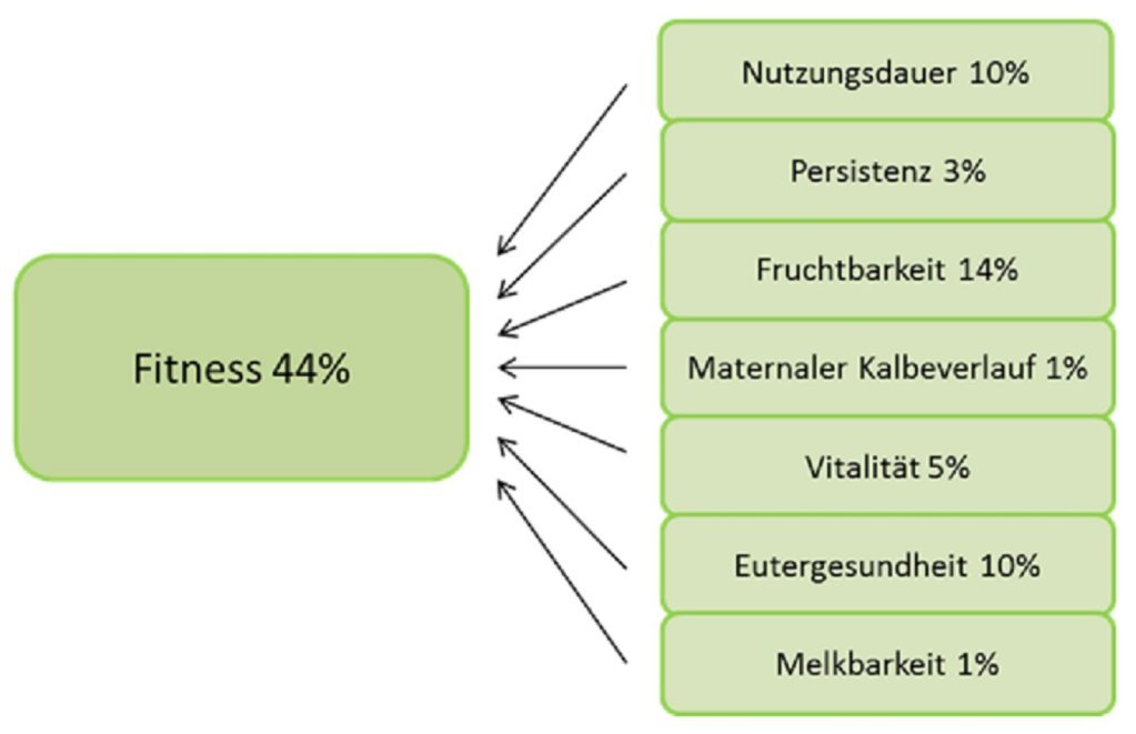 Der Fitness-Komplex geht beim Fleckvieh mit 44% in den Gesamtzuchtwert ein, davon im Einzelnen: Nutzungsdauer 10%, Persistenz 3%, Fruchtbarkeit 14%, Maternaler Kalbeverlauf 1%, Vitalität 5%, Eutergesundheit 10%, Melkbarkeit 1%.