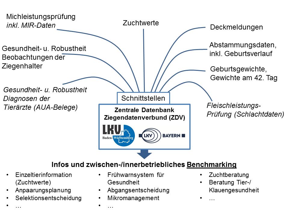 Abbildung Datenfluss Ziegendatenverbund (ZDV)