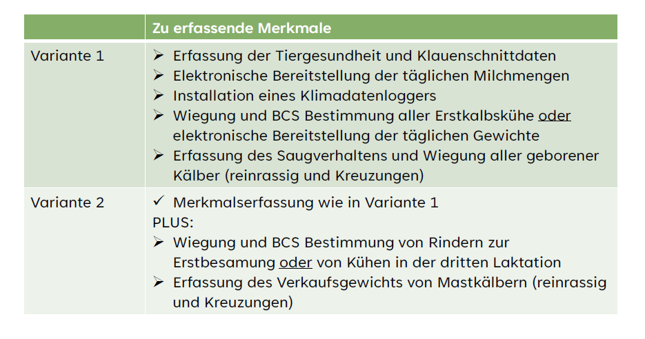 Auf diesem Bild werden die beiden möglichen Teilnahmevarianten am Projekt KlimaFit ausführlich beschrieben