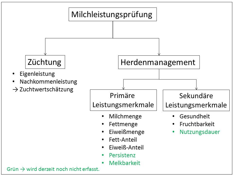 Schema 