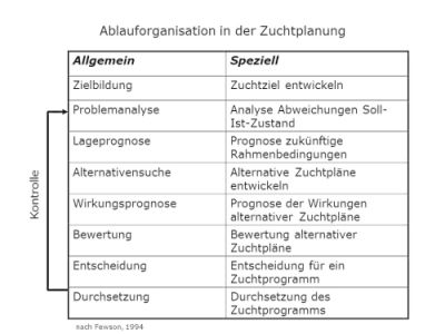 Ablauforganisation in der Zuchtplanung: 1. Zielbildung: Zuchtziel entwickeln, 2. Problemanalyse: Analyse Abweichungen Soll-Ist-Zustand, 3. Lageprognose: Prognose zukünftige Rahmenbedingungen, 4. Alternativensuche: Alternative Zuchtpläne entwickeln, 5. Wirkungsprognose: Prognose der Wirkungen alternativer Zuchtpläne, 6. Bewertung: Bewertung alternativer Zuchtpläne, 7. Entscheidung: Entscheidung für ein Zuchtprogramm, 8. Durchsetzung: Durchsetzen des Zuchtprogramms, schließlich Kontrolle , d.h. Ansetzen bei Punkt 2 Problemanalyse